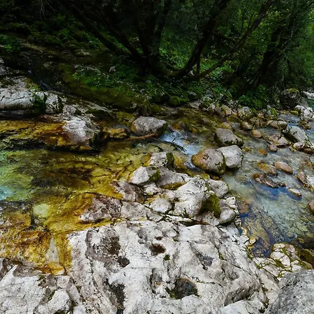Julian Village Lepena Soča