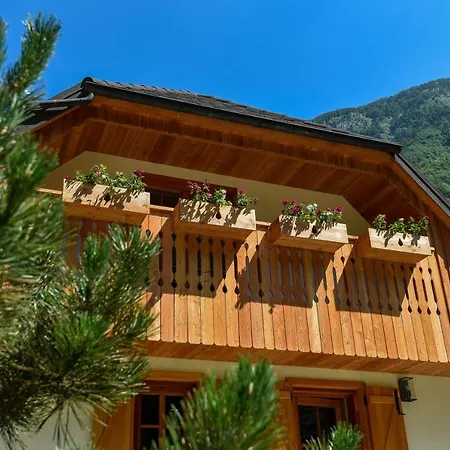 Vakantiehuis Julian Village Lepena *