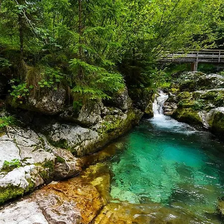 Julian Village Lepena *