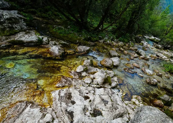 Julian Village Lepena Soca